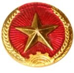 Vietnam Army badge