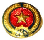 Vietnam Army badge