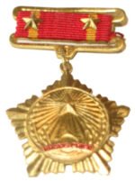Vietnam Army badge