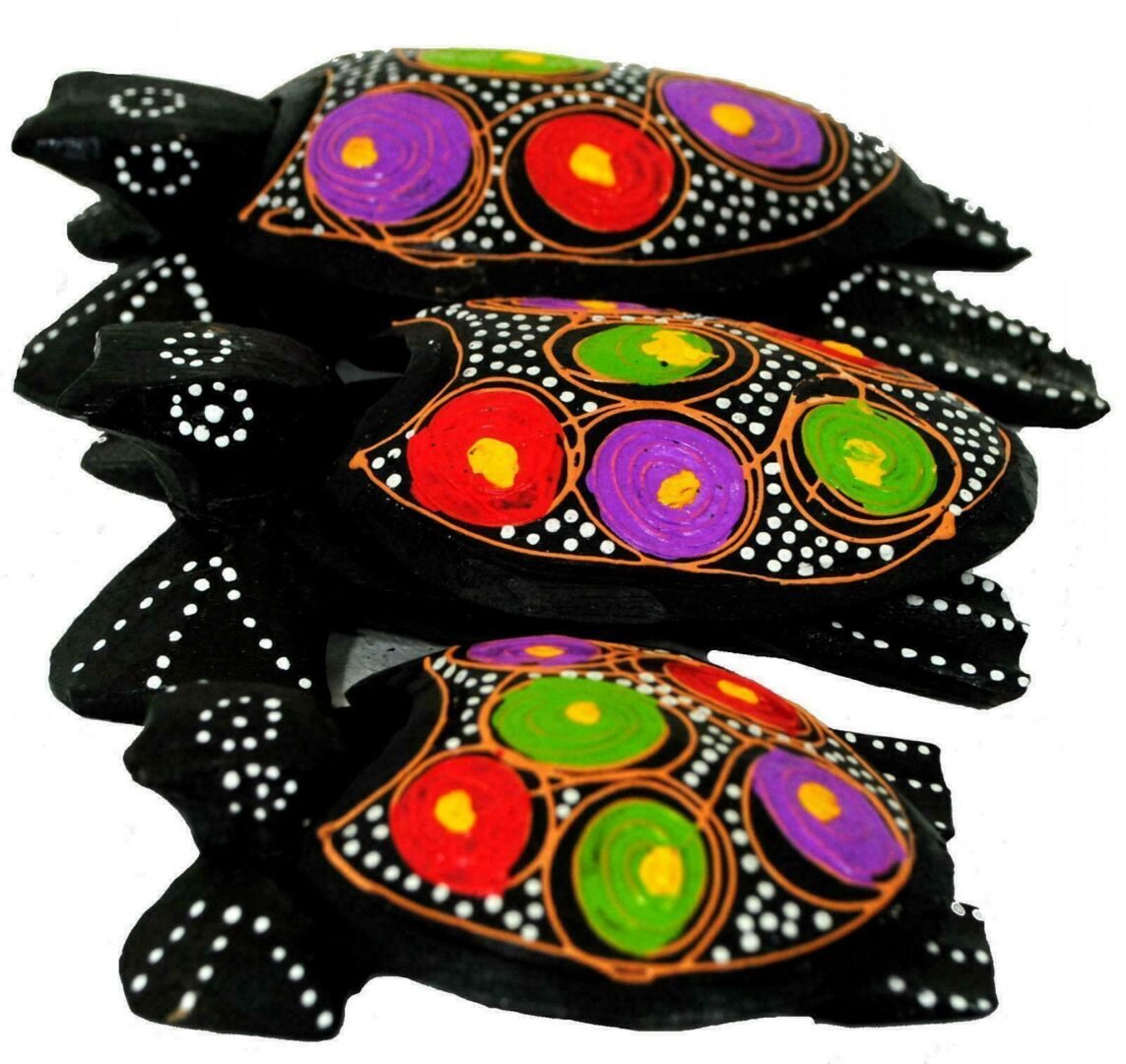 8893_5689c692-1daf-4077-bfe9-a615da41b6c00.jpg Wood Turtle