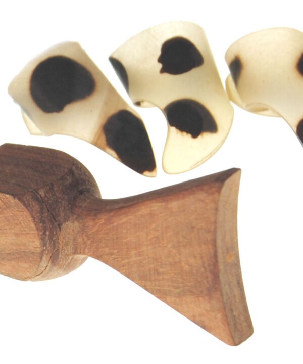 Dan Tranh Accessories