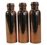 Ayurveda Water Bottle