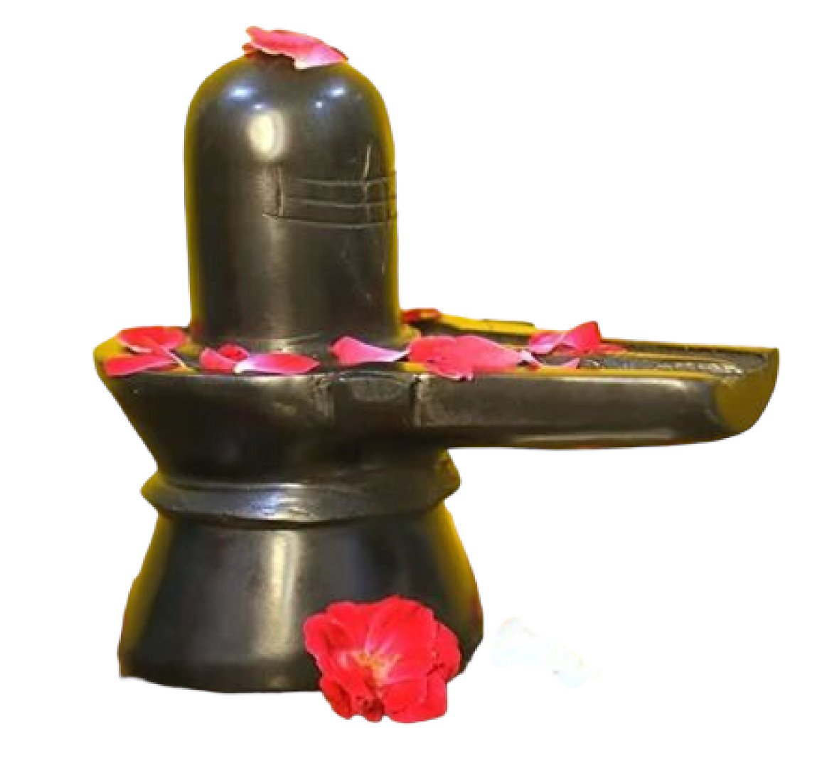 237288_20c6bebd-d7f5-4ae1-bb0b-ab70f9d199cf0.jpg Shiva Lingam