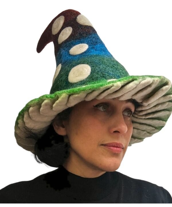 Wizard Hat