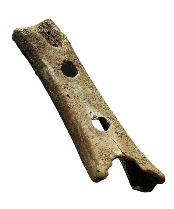 Neanderthal Flute