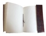 Indian Leather Journal