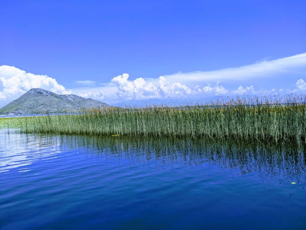 Lake Skadar