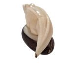 Tagua Carving Crocodile