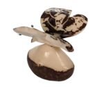 Tagua Carving Butterfly