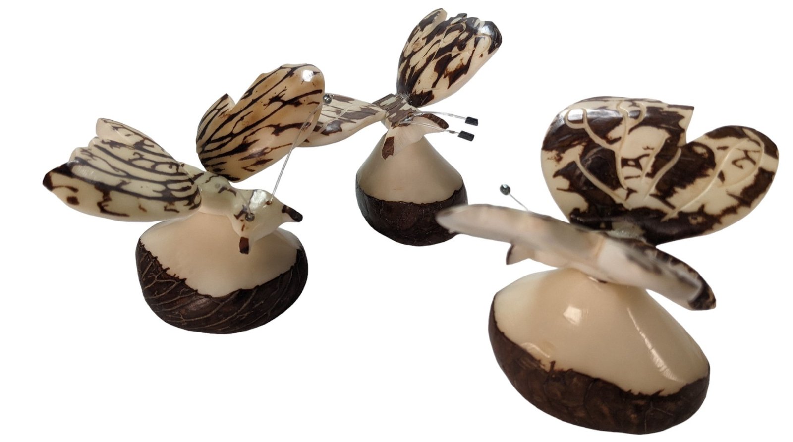 513302_9bee5e8b-43a4-444f-b608-48aa9caaac040.jpg Tagua Carving Butterfly