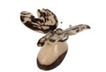 Tagua Carving Butterfly