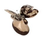 Tagua Carving Butterfly