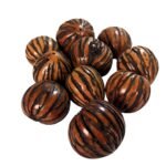 Tagua Nut