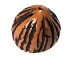Tagua Nut