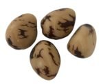 Mini Marbled Tagua Nut | Vegan Ivory |  3-4cm - Image 7