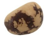 Mini Marbled Tagua Nut | Vegan Ivory |  3-4cm - Image 2