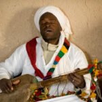 Goat Gut Gimbri Strings