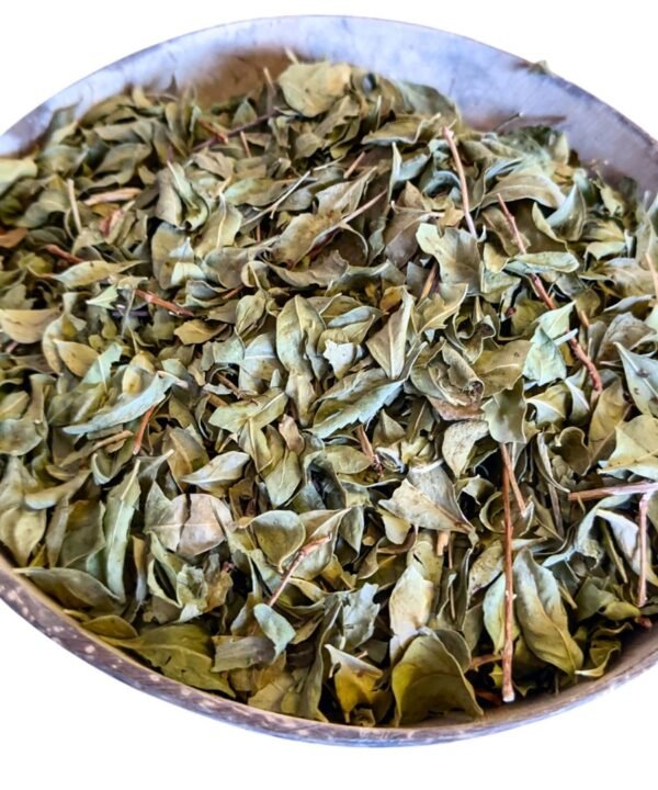 Moroccan Henna Leaves