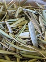 Moroccan Olive Leaves | 100g - 0.22lbs Genuine dried RAW - Image 3