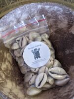 Moroccan Cowrie Shells