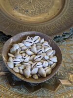 Moroccan Cowrie Shells