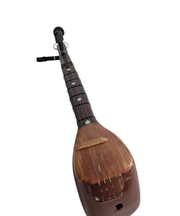 Miniature Sitar Model