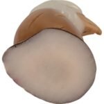 fair trade fair trade