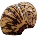 Tagua Salt Pepper Shakers