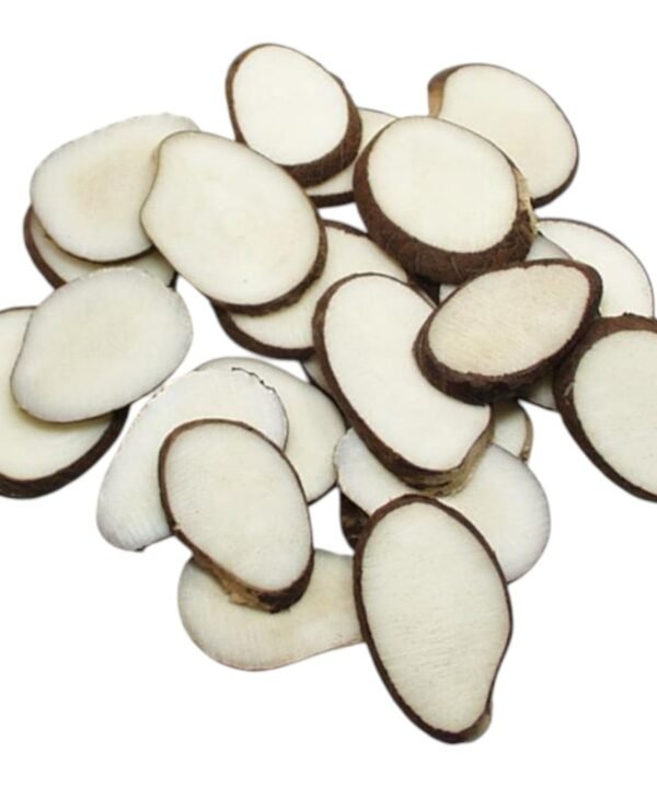 10 Raw Tagua Nut Slices