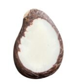 20 Raw Taga Nut Slices