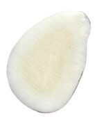 20 Raw Taga Nut Slices