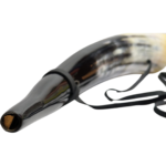 Vietnamese Ox Horn Bugle