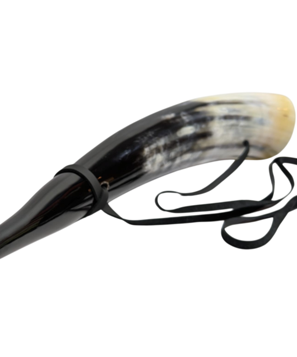 Vietnamese Ox Horn Bugle