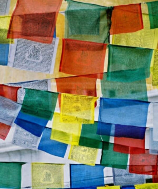Tibetan Buddhist Cotton Prayer Flags 5 Rolls 50 Flags Genuine Nepal Fair Trade Wind Horse