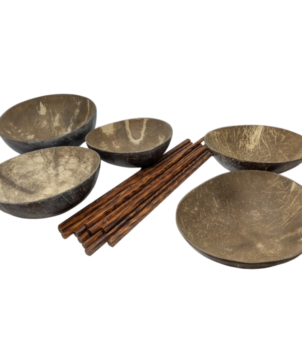Handcrafted Coconut Shell Bowls (Set of 5) with Chopsticks - Ethical Sourcing