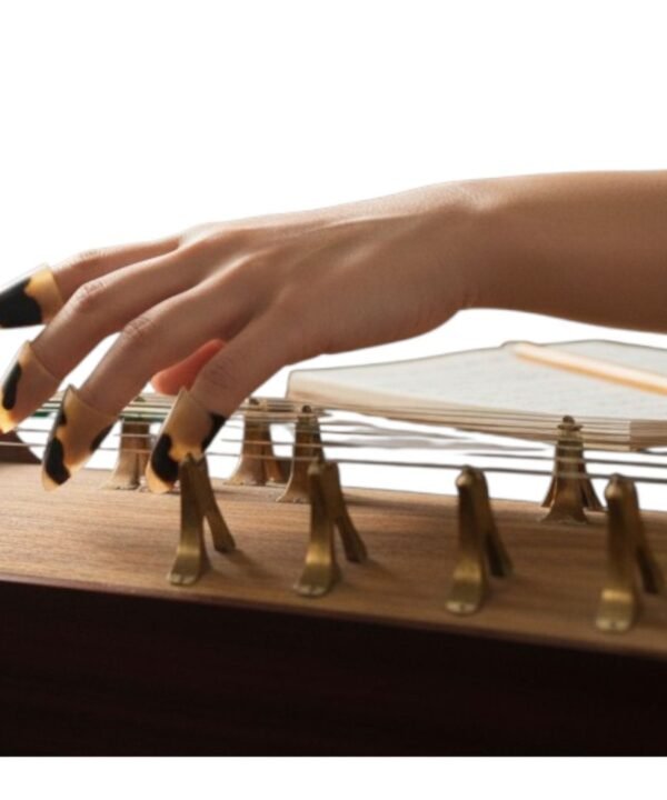 Set of 3 Dan Tranh Picks Traditional Vietnamese Zither Plectrums Ethical Plastic