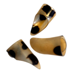 Set of 3 Dan Tranh Picks Traditional Vietnamese Zither Plectrums Ethical Plastic - Image 2