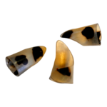 Set of 3 Dan Tranh Picks Traditional Vietnamese Zither Plectrums Ethical Plastic - Image 5