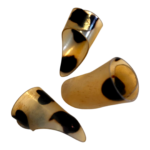 Set of 3 Dan Tranh Picks Traditional Vietnamese Zither Plectrums Ethical Plastic - Image 3