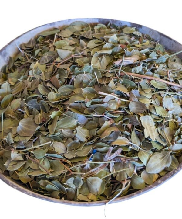 200g / 0.44lbs Genuine Moroccan Sidr Leaves of Jujube Tree Dried Raw Material