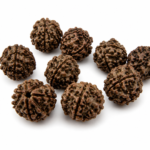 Job Lot 9 Mukhi Rudraksha Seeds Beads Shiva Tear Meditation