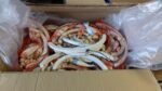 WOOD MOBILES JOB LOT : 25 WOODEN NAUTICAL FISH MOBILES (BLUE & ORANGE MIX) - Image 9